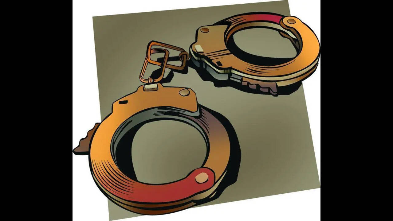 Woman creates ruckus at star hotel, assaults cops