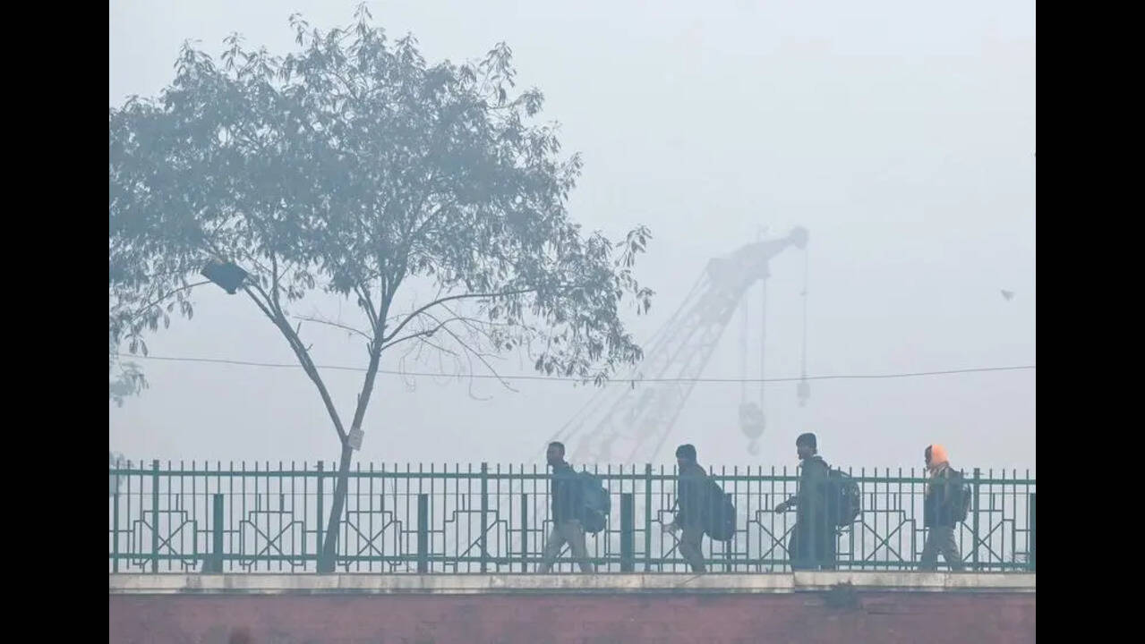 In2024, cold wave killed 168 in Punjab, 26 in HP: NCRB report