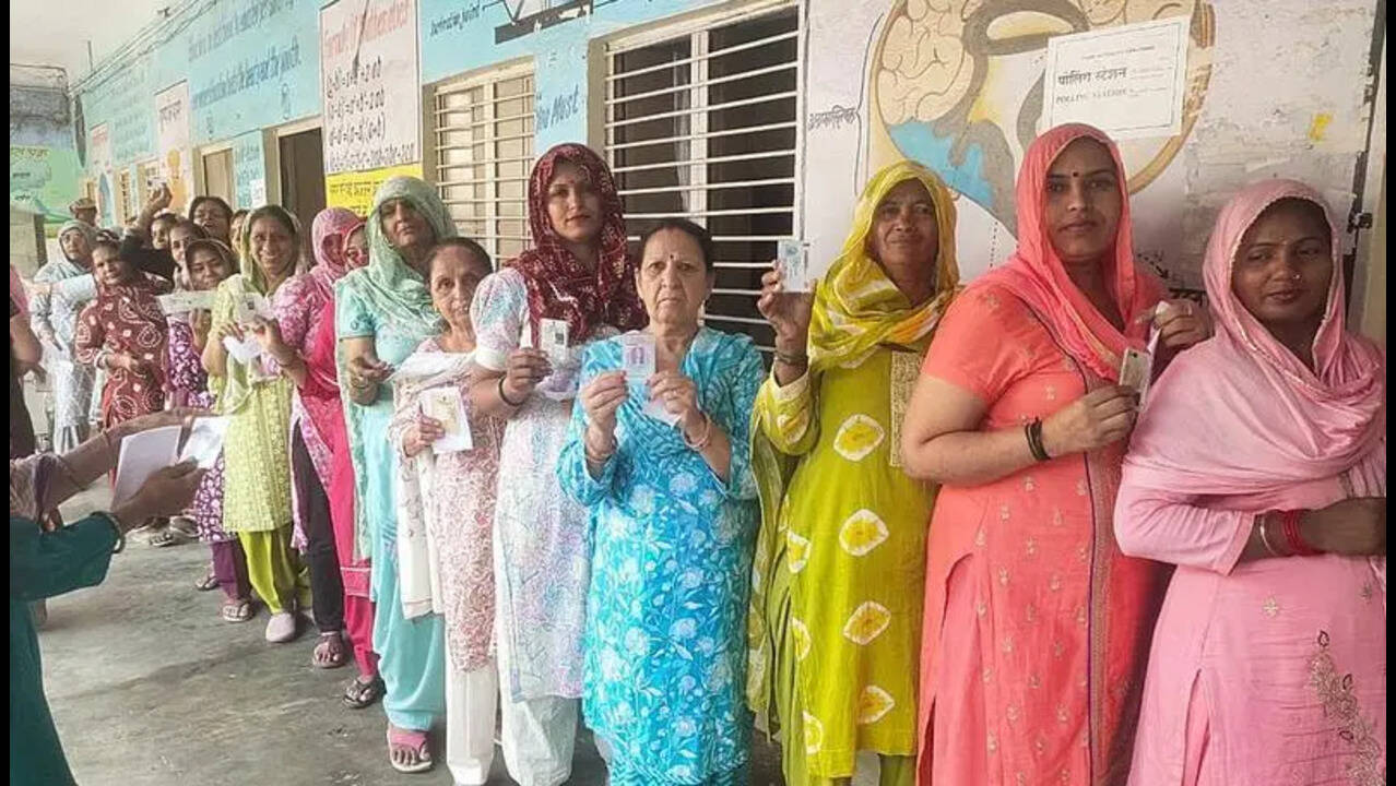 Civic body polls: Haryana reports around 55% voter turnout