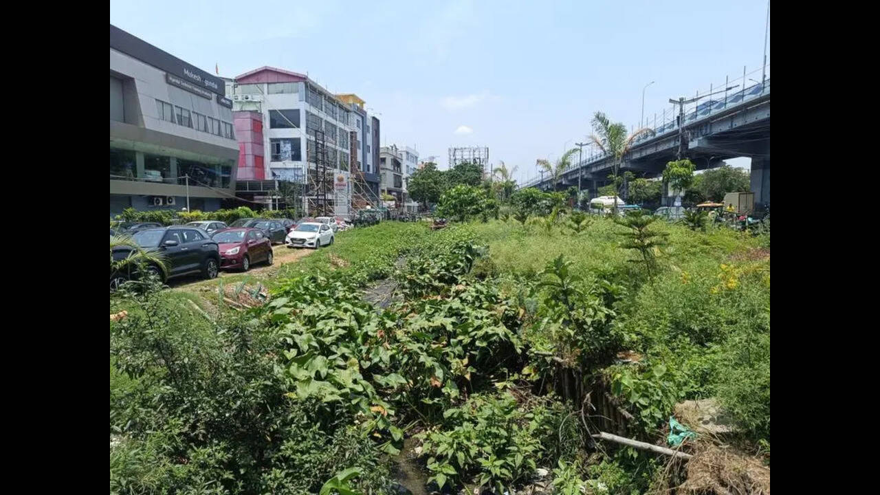 Rajarhat-Gopalpur MLA focuses on illegal bldgs, VIP Road waterlogging