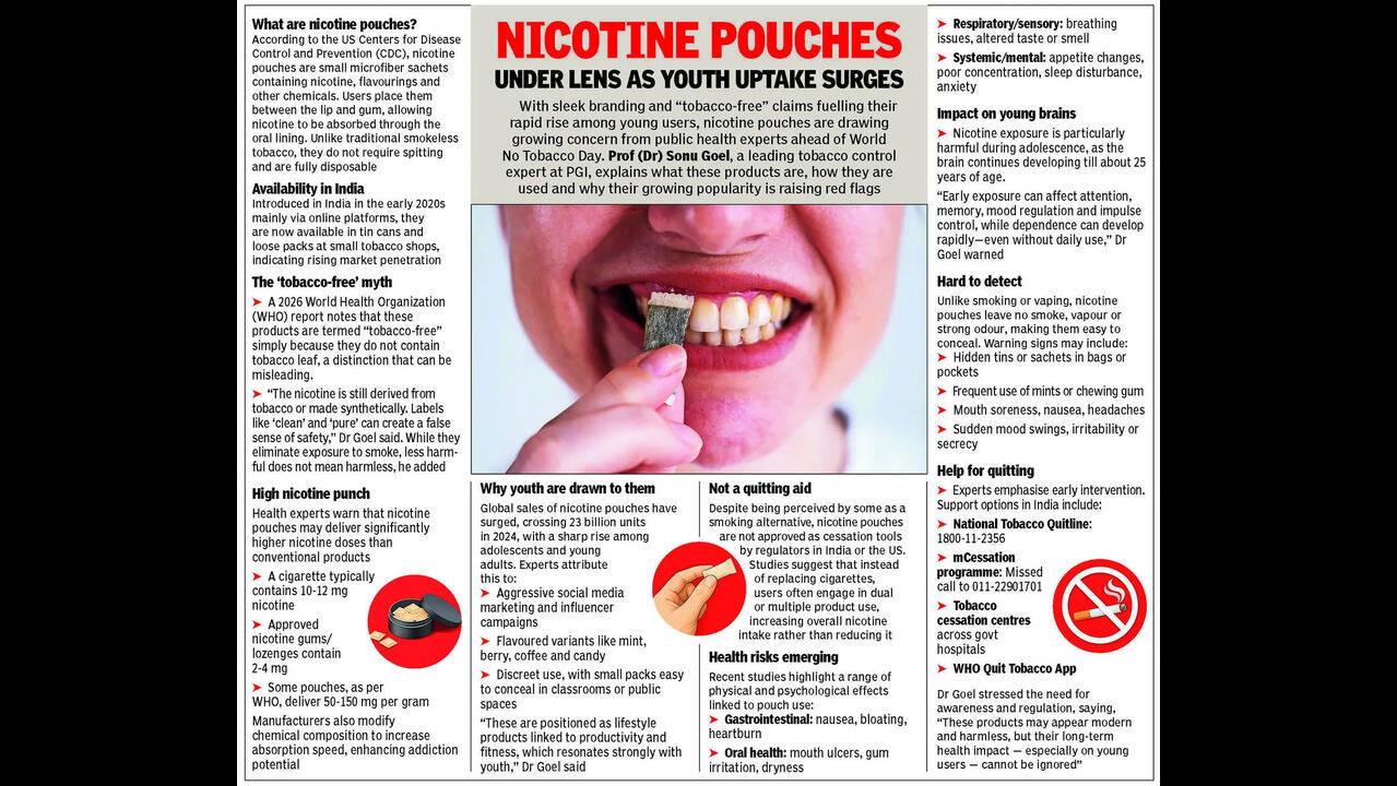 heated tobacco devices Heated Tobacco Products