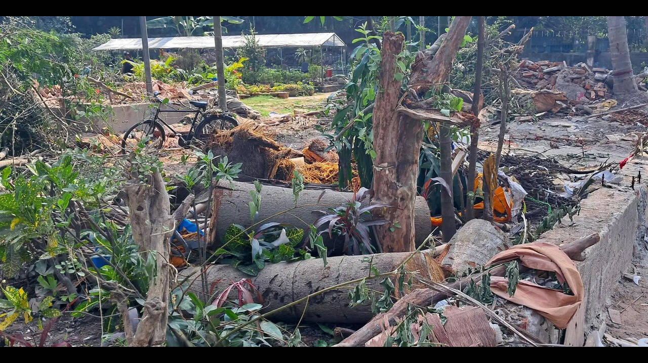 Assam lost nearly 3.6 sq km of tree cover since ’01: Global study