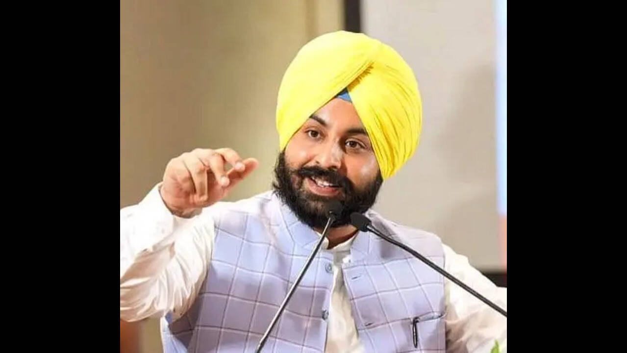 Gurdaspur university to roll out new industry aligned courses: Minister