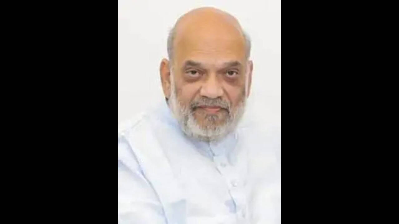 Punjab BJP chief meets Amit Shah, raises law and order, drug issues