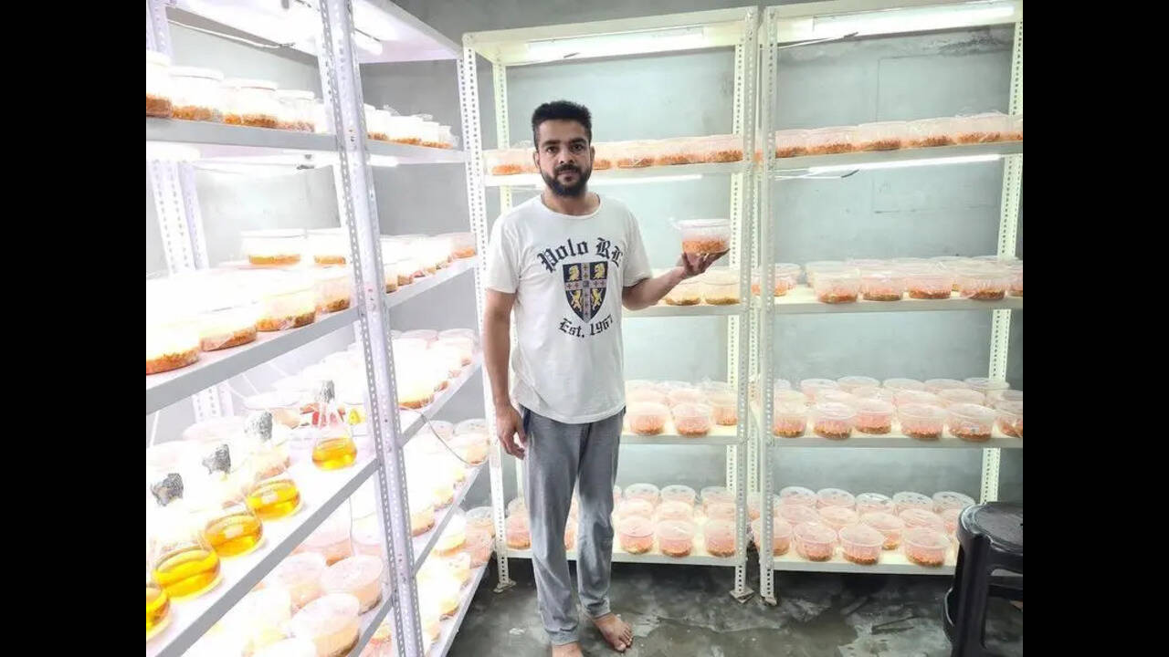From fields to fortune: Barnala farmer earns lakhs cultivating rare medicinal mushroom
