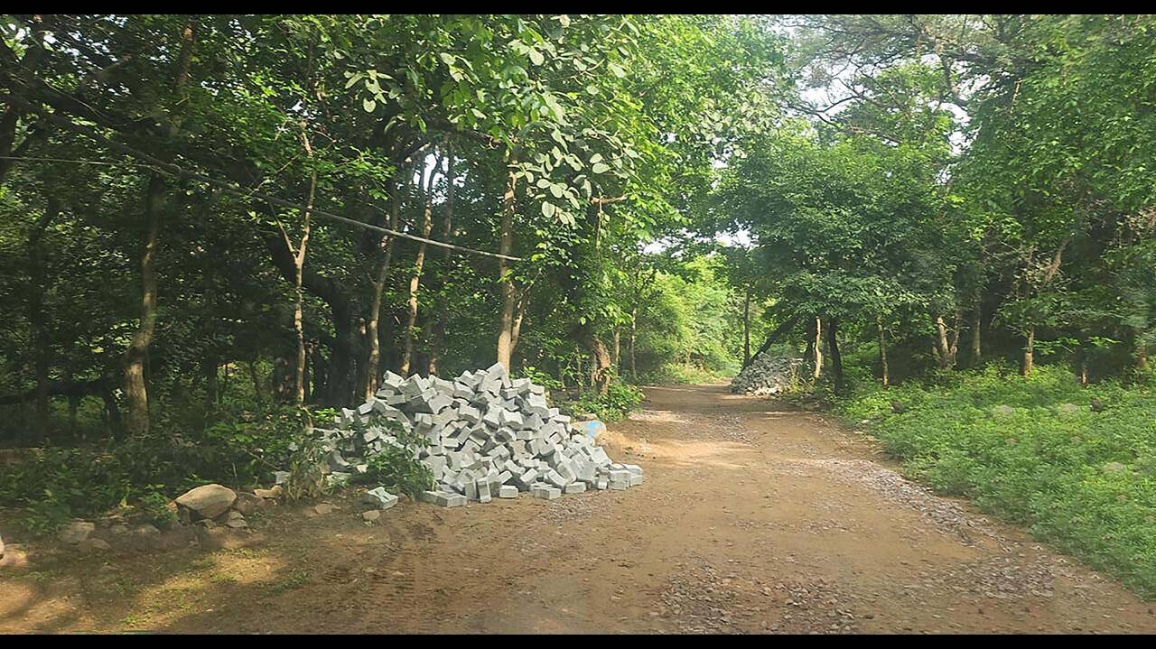 Road laid through Aravalis Mangar Bani core area despite official action