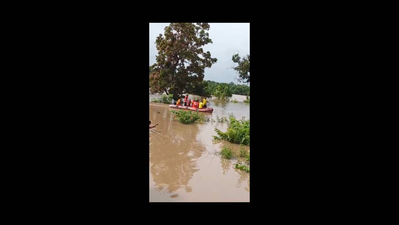 Farmer couple climb tree to evade flood, rescuer bitten by snake