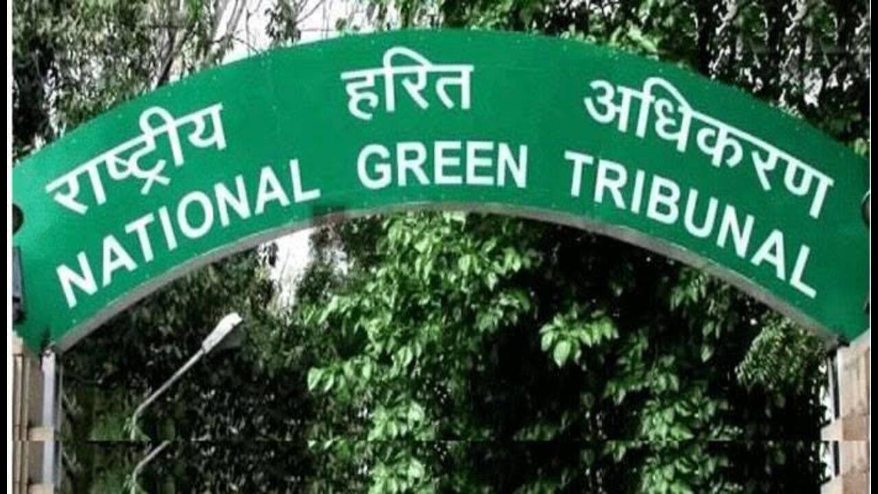 NGT panel’s clean chit to Dera Beas centre on green violations