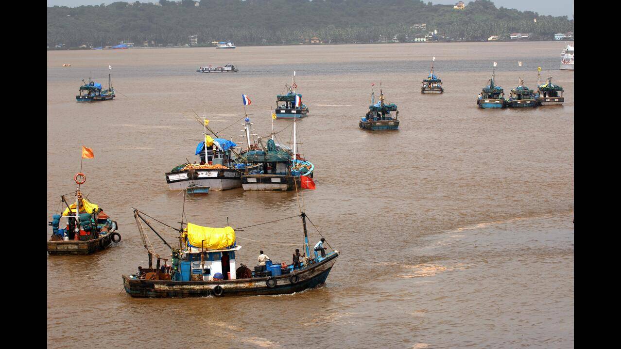 Scientist suggests intervention measures for Goa fisheries sector