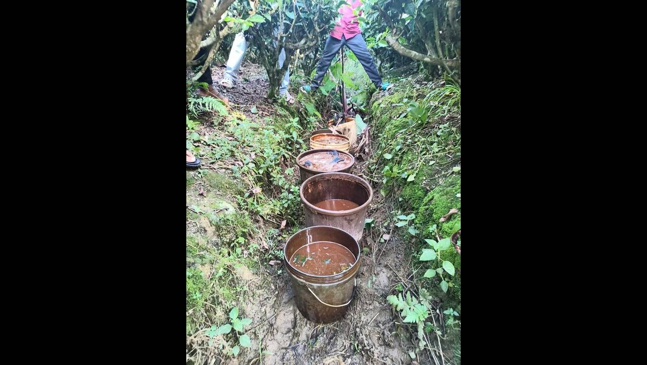 ATTSA, cops join hands to raise awareness against ‘sulai’ in Tinsukia tea gardens, destroy liquor dens