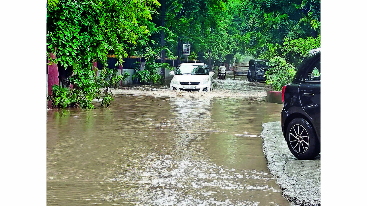 'Summon officials': Rao Inderjit meets CM, seeks accountability over Gurgaon waterlogging