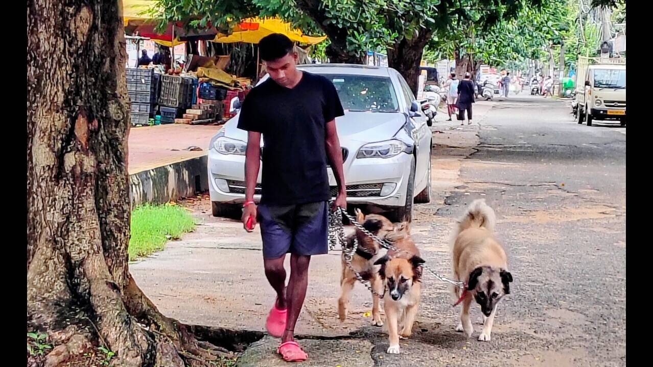 City mayor warns owners of strict action if pets defecate in the open