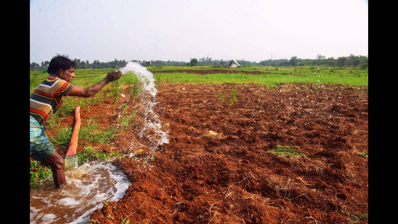 State govt starts paying Rs 2 per unit power subsidy for irrigation, to benefit 4 lakh farmers