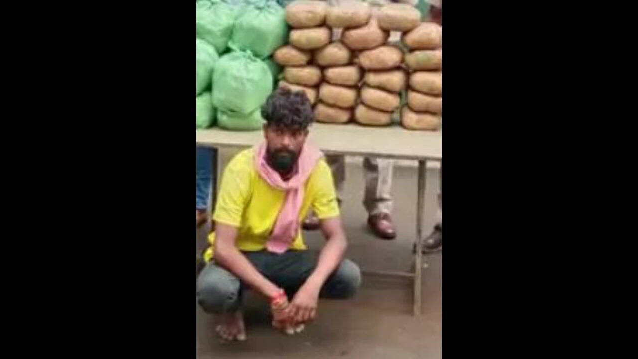Secret chamber in truck yields Rs 2.23cr ganja in Chhattisgarh; Driver from Punjab held