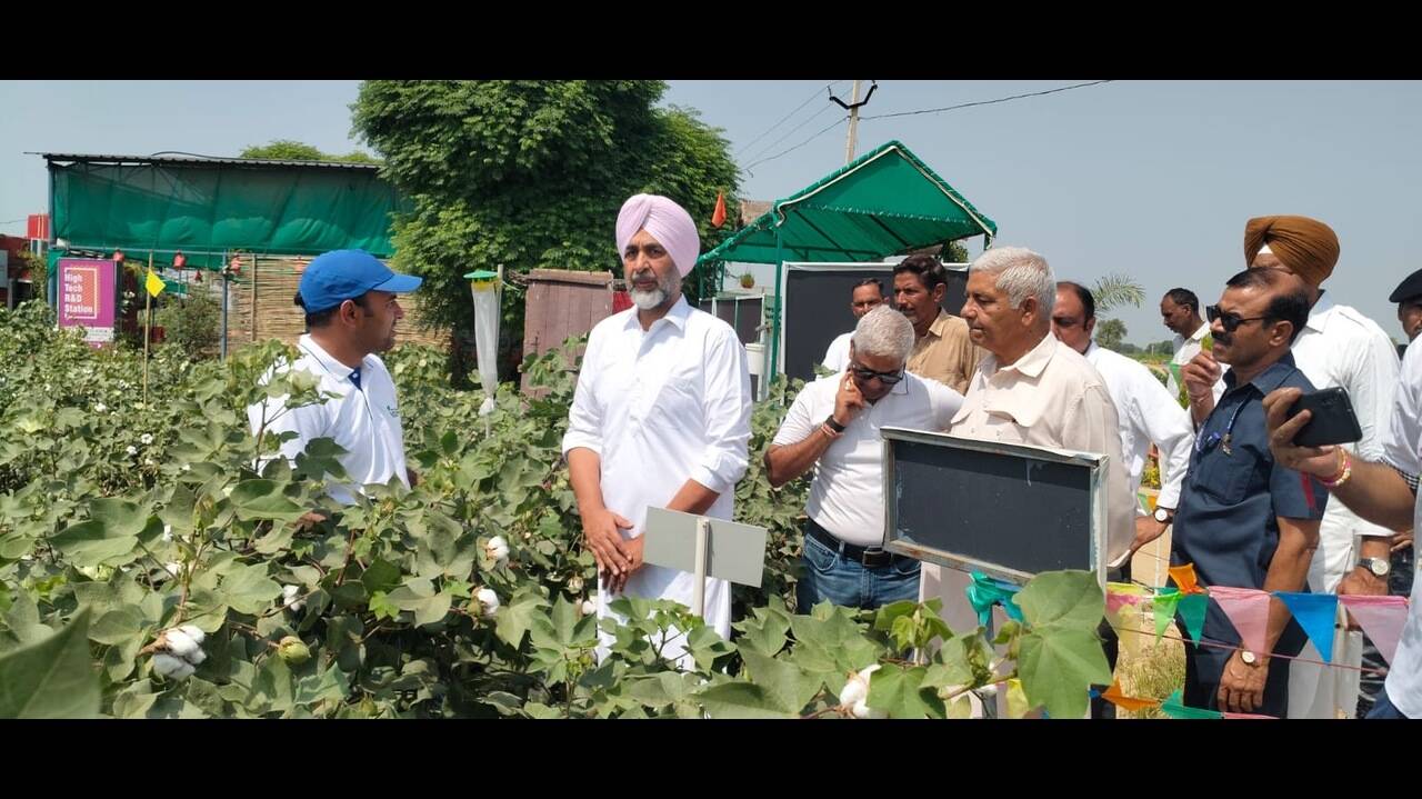 At Sirsa dialogue, a call to revive north’s cotton cultivation