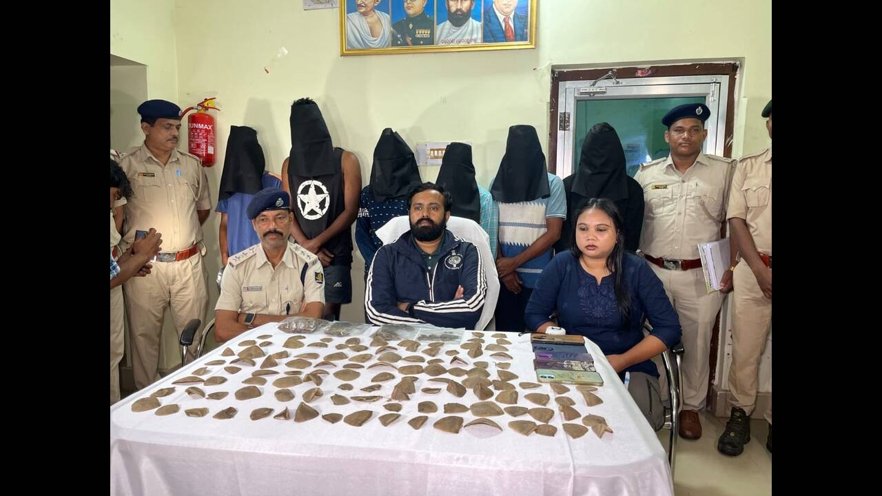 352 pangolin scales seized, 6 held in Malkangiri
