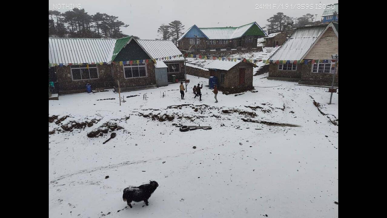 Sandakphu-Phalut tourists need medical fitness certificates after two ...
