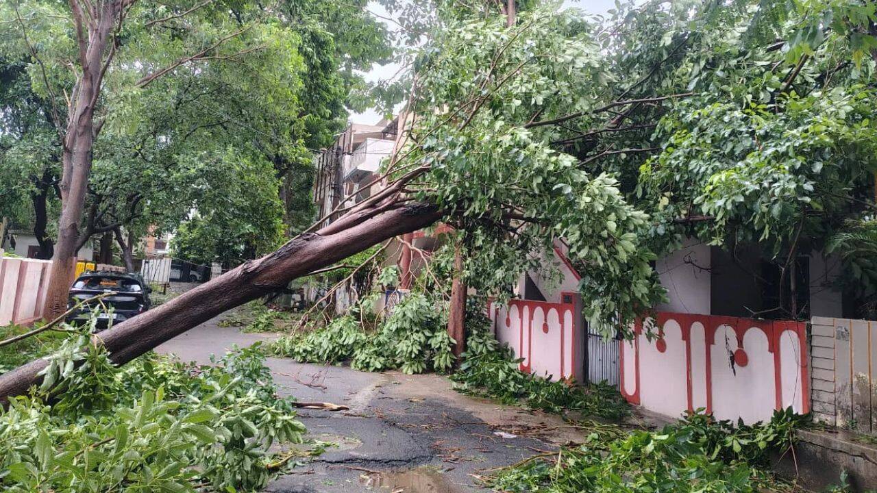 Cyclone Arnab: 2 dead, several flights, over 50 trains cancelled as storm hits Andhra, Odisha