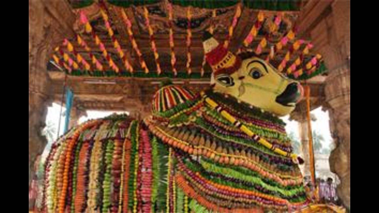 Smeared with colours, Nandi idol comes alive at Mahabhisheka fete