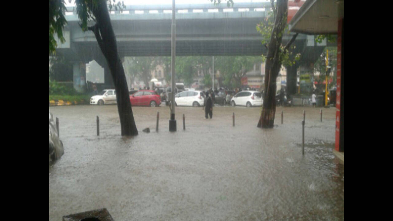 State Government Employees: Mumbai rains create chaos: Poisar river rising  alarmingly; Dahisar overflows | Mumbai News - The Times of India