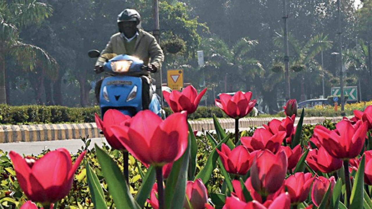 Weather springs an early surprise with warmest February day in 2