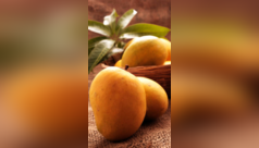 Avoid combining THESE foods with mango