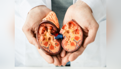 Factors that lead to acute kidney injury
