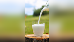 12 foods more rich in calcium than milk