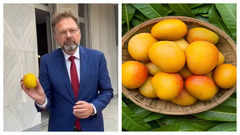 German Ambassador tries Indian mangoes