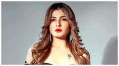 Here's how Raveena tackled rumours about her kids