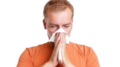 Common cold virus linked to blood clotting