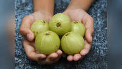 Why one must have 1 amla daily