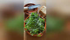 Microgreens that are super easy to grow