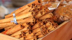 Can cinnamon help lower blood sugar?
