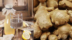 Can drinking Ginger Chia water melt belly fat?