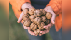 Why is it important to soak walnuts before eating?