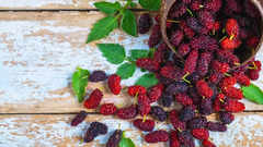 10 reasons to have mulberries in summer