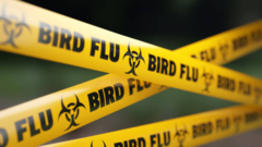 WHO confirms first human death due to bird flu in Mexico