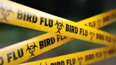 Australia's H5N1 bird flu case had traveled to Kolkata: WHO