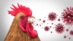 4 yr old Indian child tests positive for H9N2 bird flu
