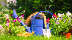 Things you are not allowed to do in your garden in the UK