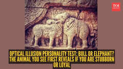 Optical illusion personality test: Bull or elephant? The animal you see first reveals if you are stubborn or loyal