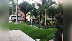Why some front garden borders look expensive even with fewer plants?