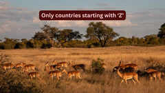 There are only 2 countries starting with &lsquo;Z&rsquo; and why travellers should explore them