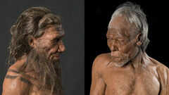 Neanderthals vs Homo sapiens: What separated modern humans from their ancient cousins