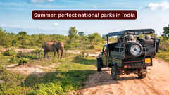 7 summer-perfect national parks in India promising an unforgettable escape; best time to visit and more