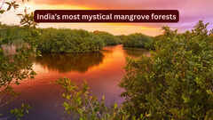 India&rsquo;s most mystical and lesser-known mangrove forests travellers rarely talk about