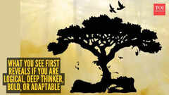 Optical illusion personality test: Lion, gorilla, tree or birds? What you see first reveals if you are logical, deep thinker, bold, or adaptable