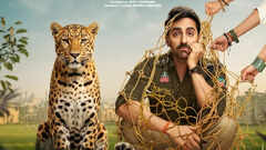 'Pati Pani Aur Woh Do' Day 13: Film breaches Rs 55 cr global mark