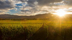 India&rsquo;s hidden wine regions beyond Nashik